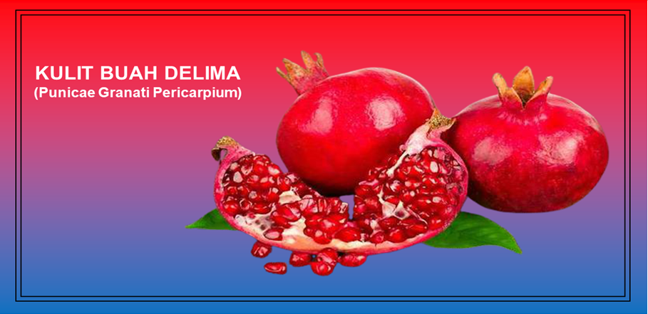 Khasiat Kulit Buah Delima Obati Sakit Gigi Khasiat Kulit Buah Delima Obati Sakit Gigi